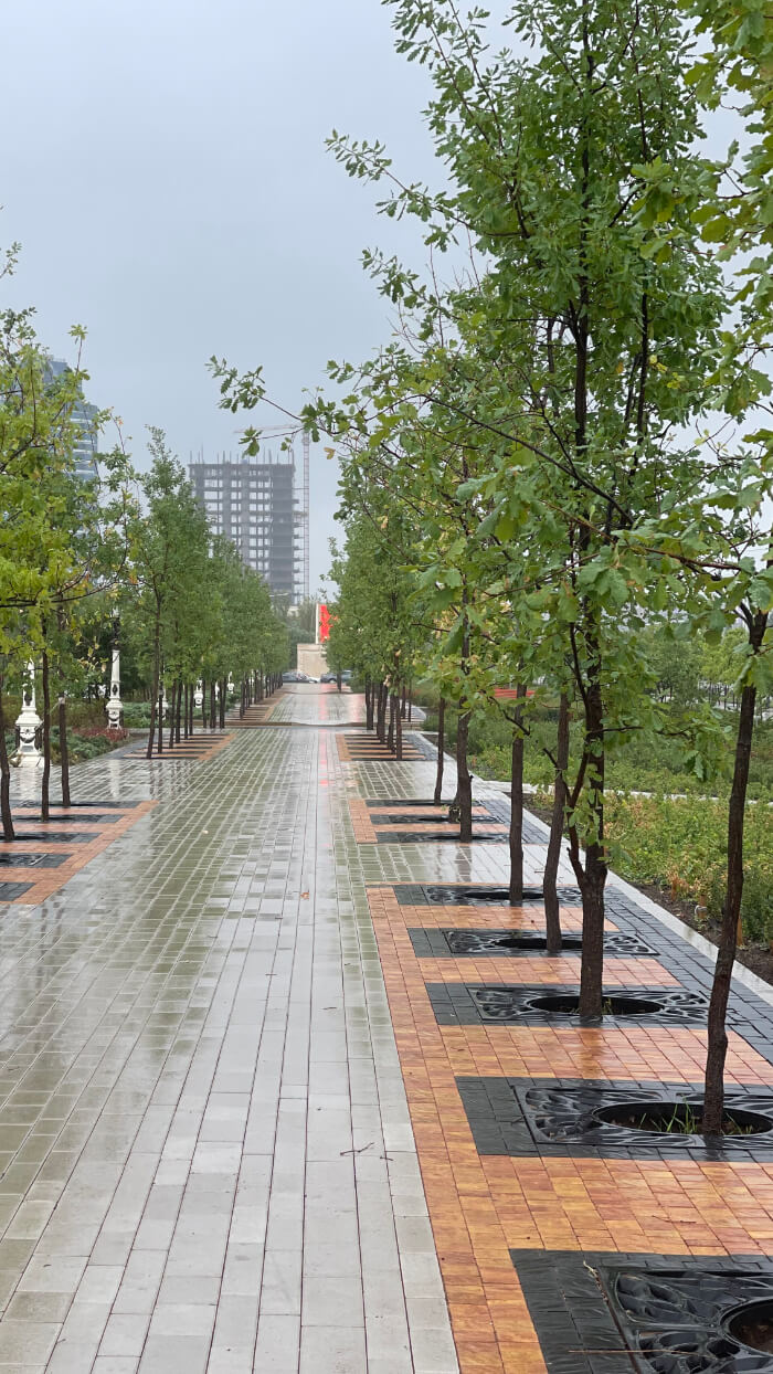 Приствольная решетка для дерева ZKING CRUST 1.2х1.2м Черная в Красноярске фото