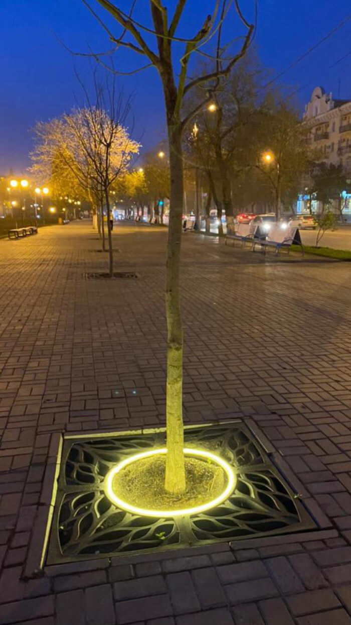 Приствольная решетка для дерева ZKING CRUST 1.2х1.2м Черная в Красноярске фото